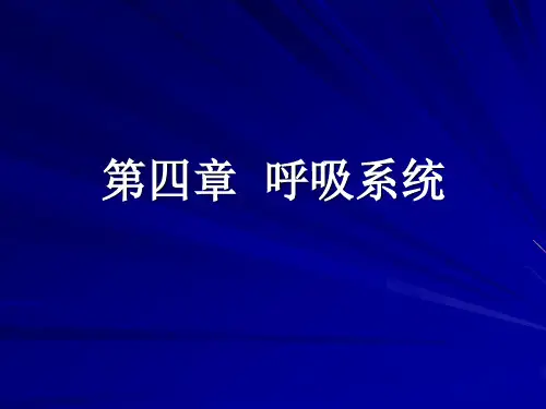动物解剖学  第四章  呼吸系统