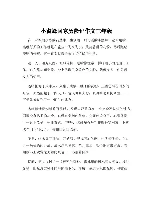 小蜜蜂回家历险记作文三年级