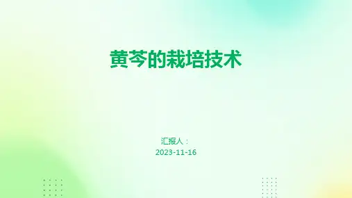 黄芩的栽培技术