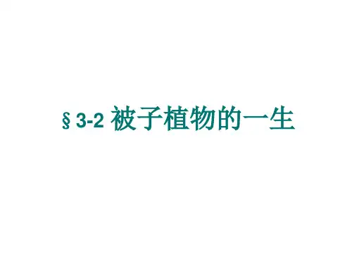 第二章被子植物的一生复习课件人教版生物七年级上册