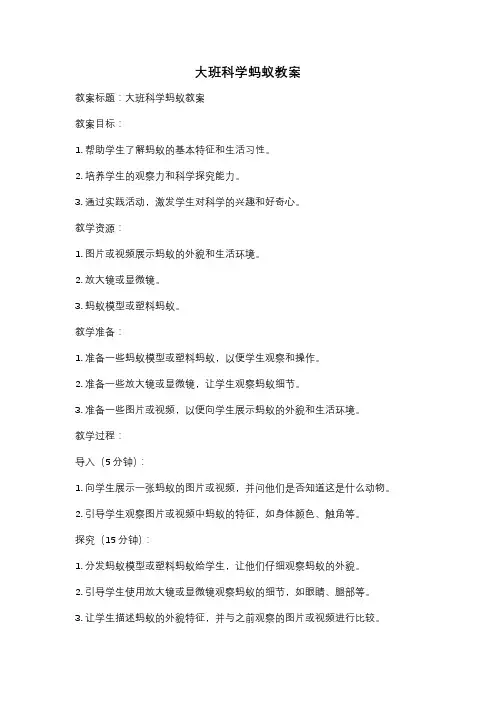 大班科学蚂蚁教案