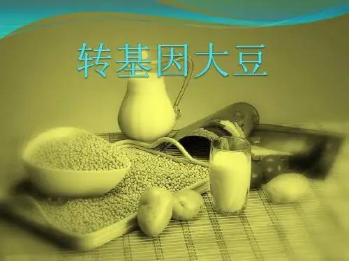 转基因大豆专题报告
