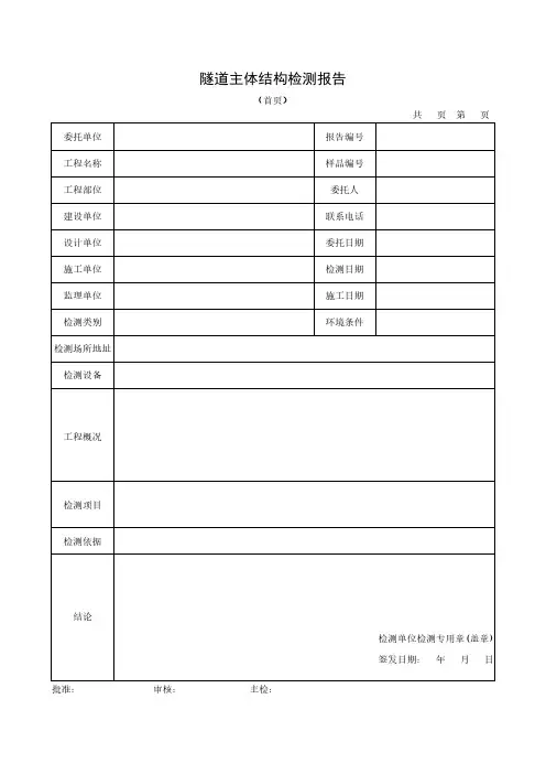 隧道主体结构检测报告