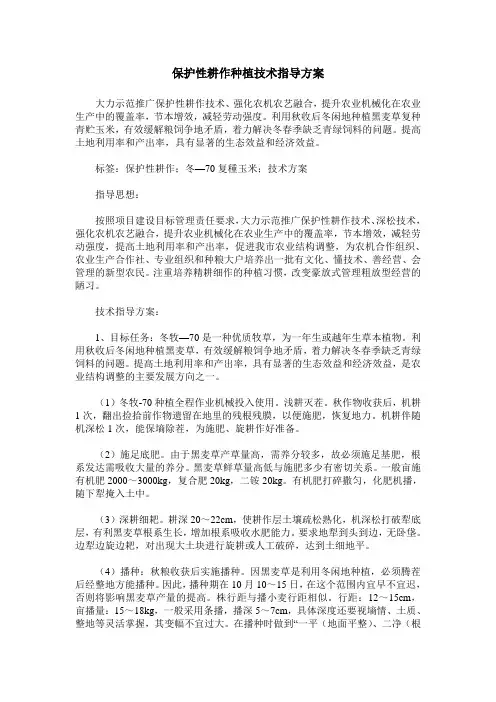 保护性耕作种植技术指导方案