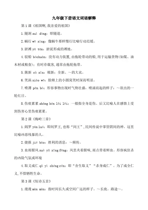 九年级下册语文词语解释