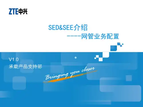 SEDSEE单板介绍网管业务配置V1.0