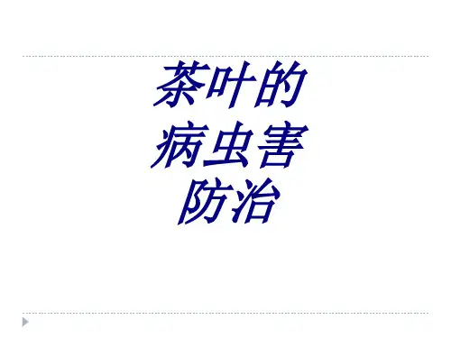茶叶的病虫害防治培训课件