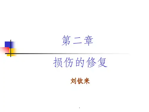 细胞、组织损伤修复ppt课件