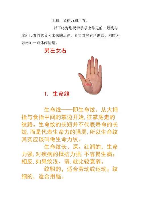 教你看手纹