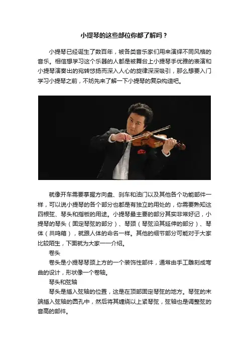 小提琴的这些部位你都了解吗？