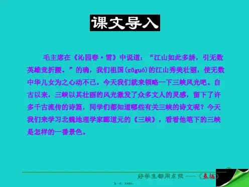 (季版)七年级语文上册第六单元第23课《三峡》课件语文版