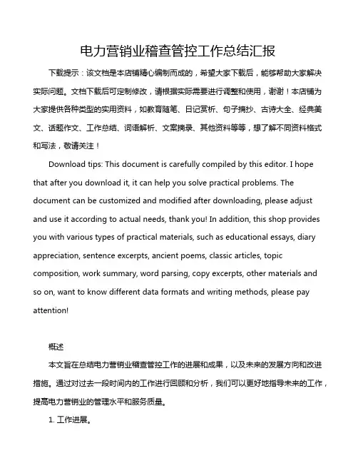 电力营销业稽查管控工作总结汇报