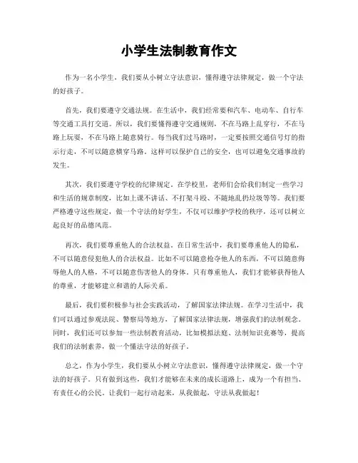 小学生法制教育作文