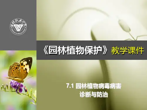 71园林植物病毒病害诊断与防治PPT课件