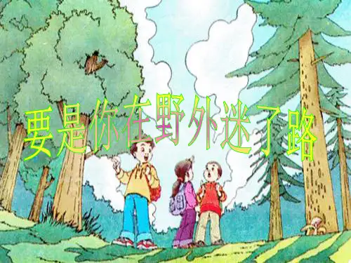 《要是你在野外迷了路》ppt课件