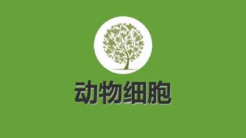 新人教版初中七年级生物上册《动物细胞》精品教学课件