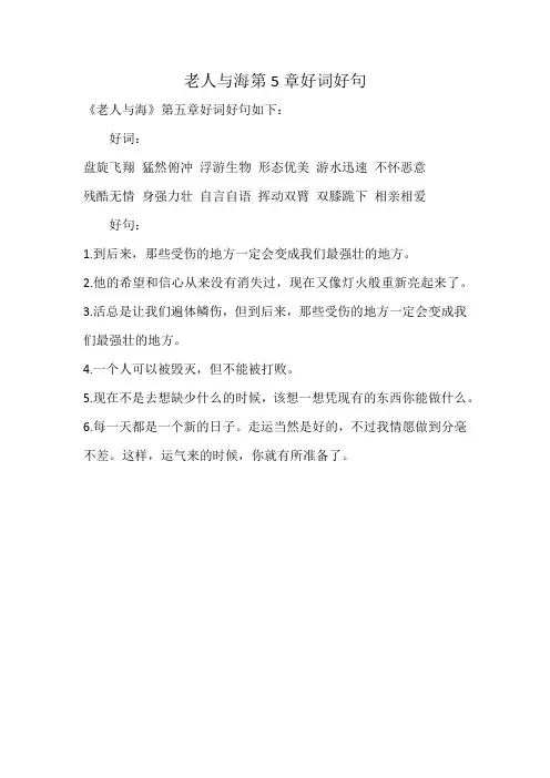 老人与海第5章好词好句