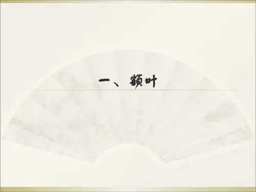 大脑各部位功能及障碍