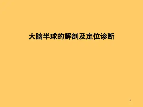 大脑半球的解剖及定位诊断PPT课件
