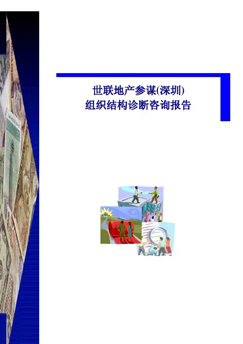 世联地产顾问(深圳)有限公司组织结构诊断咨询报告(doc 17)