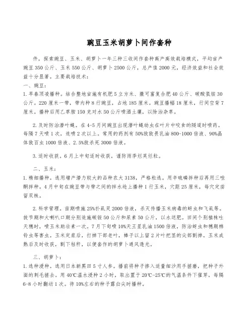 豌豆玉米胡萝卜间作套种