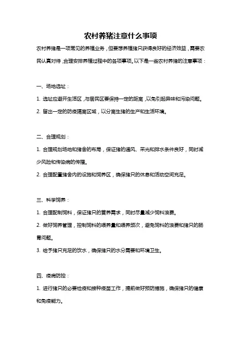 农村养猪注意什么事项