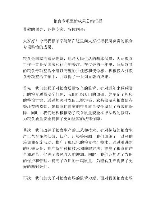 粮食专项整治成果总结汇报