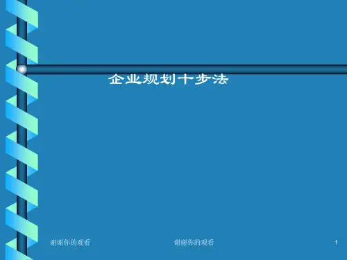 企业规划十步法.ppt