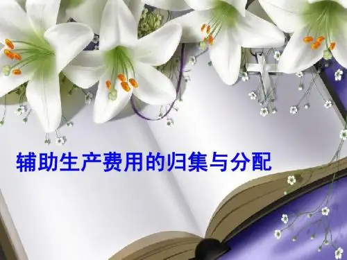 辅助生产费用的归集与分配