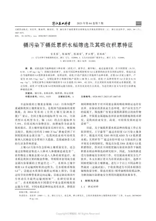 镉污染下镉低累积水稻筛选及其吸收积累特征
