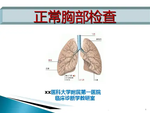 诊断学教学胸部查体
