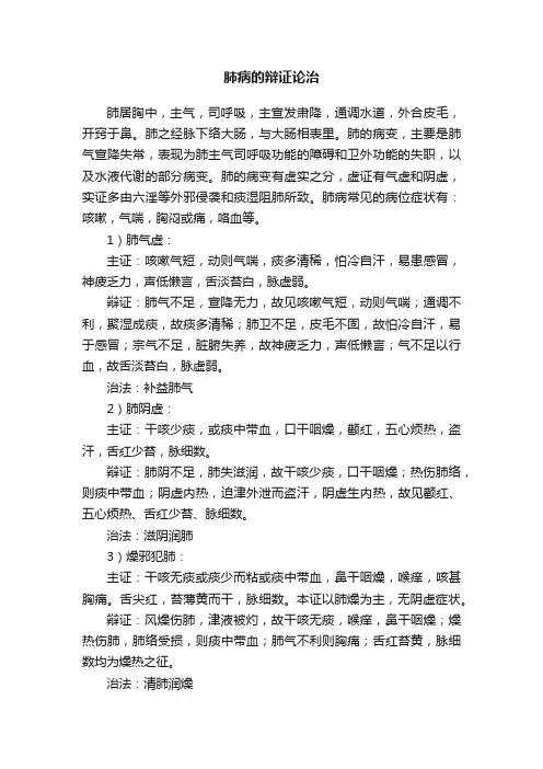 肺病的辩证论治