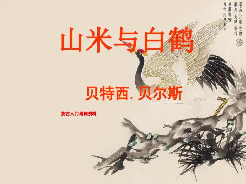 茶艺入门培训资料