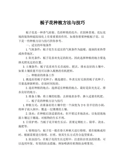 栀子花种植方法与技巧