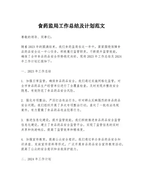 食药监局工作总结及计划范文