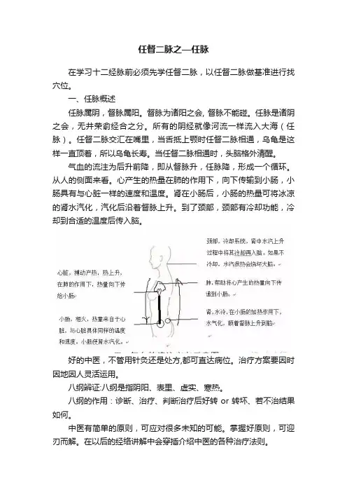 任督二脉之—任脉
