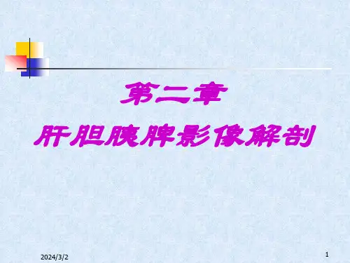 肝胆胰脾影像解剖