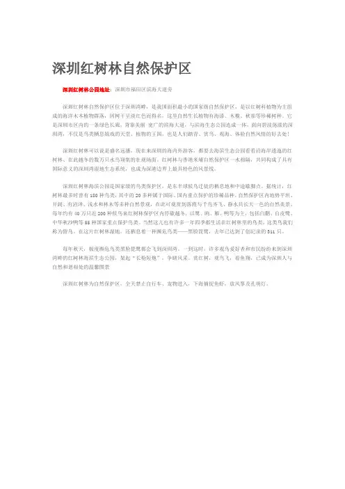 深圳红树林