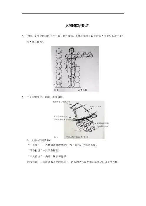 人物速写要点