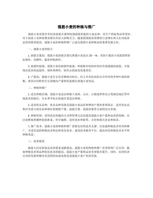 强筋小麦的种植与推广