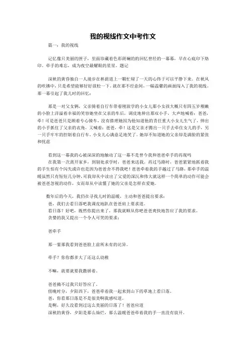 我的视线作文中考作文