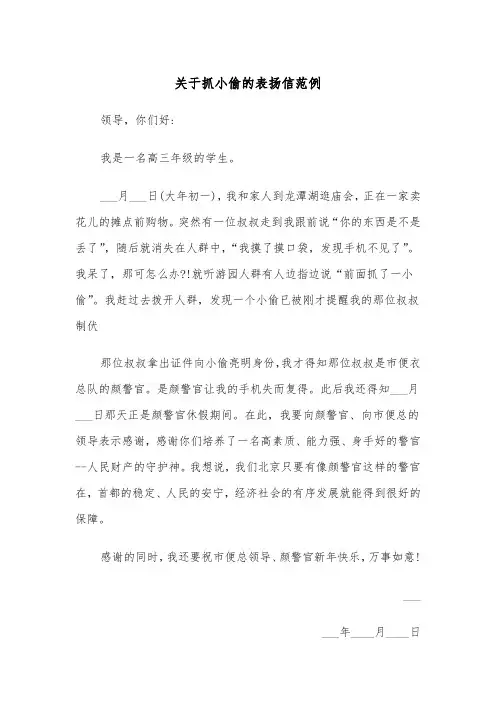 关于抓小偷的表扬信范例（6篇）