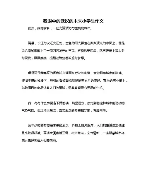 我眼中的武汉的未来小学生作文