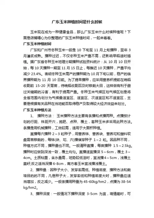 广东玉米种植时间是什么时候