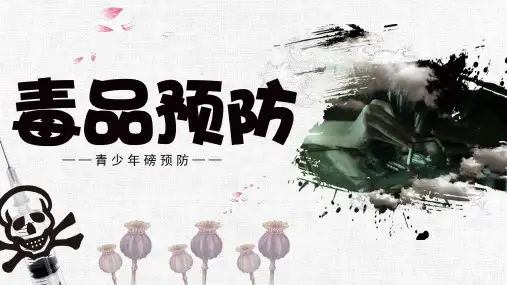 毒品预防青少年禁毒防艾PPT模板