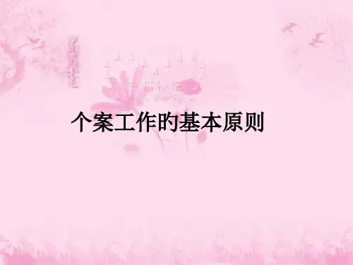 个案工作的基本原则