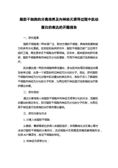 脂肪干细胞的分离培养及向神经元诱导过程中肌动蛋白的表达的开题报告