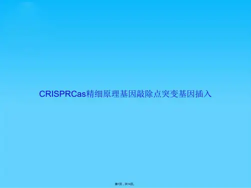 CRISPRCas精细原理基因敲除点突变基因插入(共14张PPT)