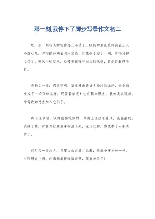 那一刻,我停下了脚步写景作文初二