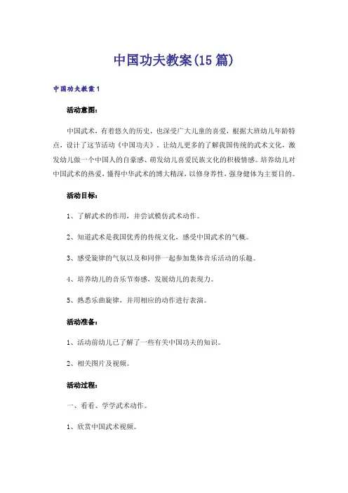 中国功夫教案(15篇)